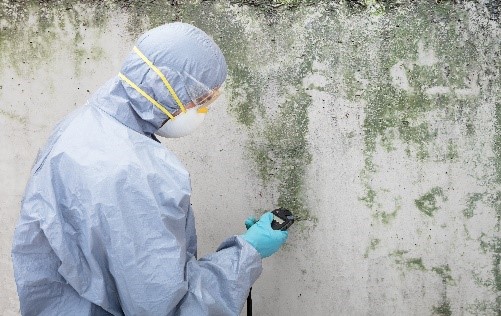 Why Dry Ice Blasting is the Number 1 Solution for Mould Remediation