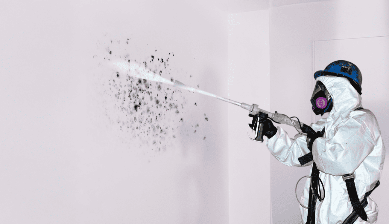 mould removal dry ice blasting
