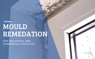 Why Dry Ice Blasting is the Optimal Solution for Mould Remediation in Industrial and Commercial Buildings